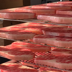 Modèle de présentation créatif et réaliste en forme de steak flocon de neige, impression UV 3D, en PVC artificiel, jouet de cuisine, bloc de viande crue, grand modèle de présentation pour la cuisson - Product Image 3