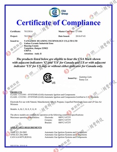 Forniture di fabbrica <span class=keywords><strong>Vaillant</strong></span> EcoTEC elettrodo di accensione MPN 0020133816 090709 adatto per caldaie Ecotec Plus & Pro - Product Image 6