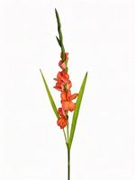Arrangement de fleurs artificielles Gladiolus pour la vente en gros, décoration d'entrée pour mariage, hôtel, restaurant, café, fleurs artificielles
