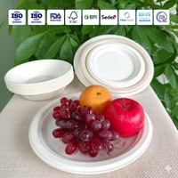Biologisch afbreekbare 10 inch borden, wegwerpbaar, composteerbaar, van bagasse papier, milieuvriendelijk serviesgoed voor catering, feestjes en afhaalmaaltijden