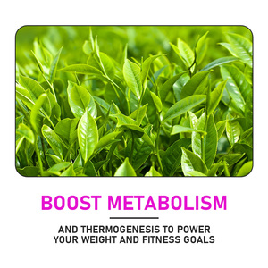 OEM ODM Factory Direct Green Tea Extract Fat Burner Capsules with Green Tea Promotes Clarity and Focus Immune Support Capsules - Product Image 6