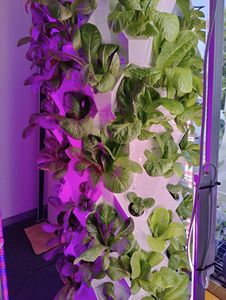 Tour de culture de bricolage à usage domestique pour le jardinage intérieur 5-10 étages pour la culture de fraises laitue légumes et ananas petite tour de jardin - Product Image 5