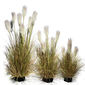 Plantas Artificiales de Césped Cola de Zorro en Maceta, 70-120 cm de Altura, Simulación Realista, Decoración Interior, Accesorios de Fotografía - Product Image 1