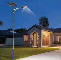 Lámparas Solares Integradas de 50w 60w 80w 100w con Turbina Eólica Híbrida, Panel Solar y Generador Eólico para Alumbrado Público de Alta Potencia