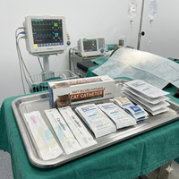 Kit de Cathétérisme Urinaire Vétérinaire pour Chat, Emballage Stérile Individuel, Cathéter Félin avec Trous de Suture