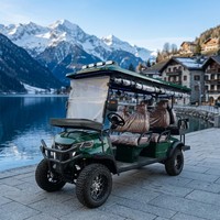 Carrito de Golf Eléctrico de 6 Plazas, Homologado para Circular por la Calle, con Motor de CA de 4.0kW, Batería de Litio de 72V 120ah, para Campos de Golf