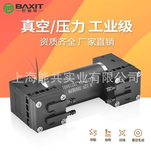 Baxit Mini Diaphragm <b>Vacuum</b> <b>Pump</b> 12V 3000Rpm Oil Less DC Portable G5BL-2 - Product Image 5