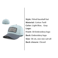 Casquette de baseball unisexe à calotte haute, bicolore bleu clair et gris, avec patch tissé Dragonne, réglable à fermeture snapback, style streetwear
