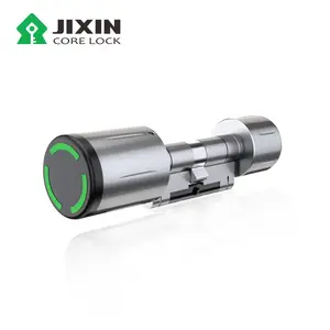 JIXIN New High Selling Eletronic Smart Lock Existent Cylinder Auto Unlock