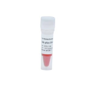 Échelle ADN 1 <span class=keywords><strong>Kb</strong></span> 100bp-10000bp - Product Image 3