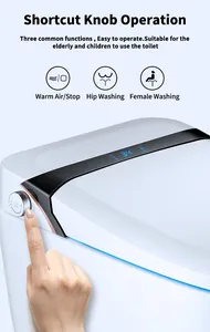 Sanitary Ware Luxury Fully Automatic Operation Siphonic Flush Intelligent Smart