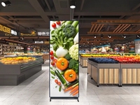 Écran d'affichage LED portable RGX haute définition multi-usage couleur pleine pour magasin, écran LED Totem numérique intérieur P1.53