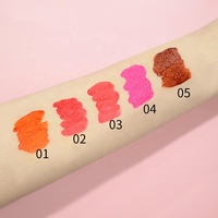 Vente en gros Offre Spéciale 5 couleurs vin rouge à lèvres mat longue durée imperméable à l'eau teinte pour les lèvres ensemble Mini brillant à lèvres