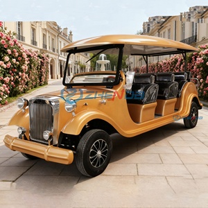 Voiture électrique classique rétro 11 places, homologuée pour la route, avec certification CE, pour le tourisme. - Product Image 4