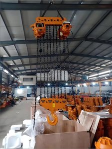 CE Certified Chain <b>Hoists</b> With Large Lifting Capacity and Wireless Control Suitable for Various Equipment Extreme Lifting Capaci - Product Image 5