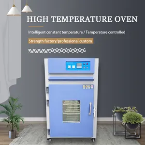 实验室高温真空干燥箱、热风循环精密烘箱、电炉实验室/加热烘箱