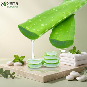 Gel Apaisant à l'Aloe Vera – Hydratant Naturel pour Visage, Corps et Cheveux – Vente en Gros et en Vrac - Product Image 1