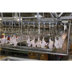 Planta Procesadora de Pollo de Alta Calidad para Pollo, Pato y Pavo con Líneas de Procesamiento, Limpieza y Empaquetado en Venta - Product Image 1