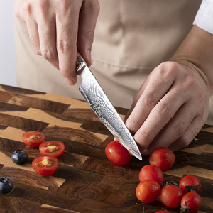 ชุดมีดแล่ปลาซาโลมอนแบบมืออาชีพ ฟิเลต์ เดบา ยานากิบะ พร้อมมีดแล่ปลา - Product Image 3