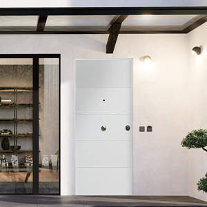 Afrodite Puerta de fibra de vidrio de seguridad de acero galvanizado de alta calidad Fácil instalación Diseño moderno Apertura manual Antirrobo - Product Image 3