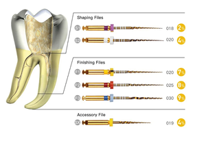 File putar endodontik gigi Niti Rotary Universal Endo File panas diaktifkan emas diperlakukan File endodontik - Product Image 3