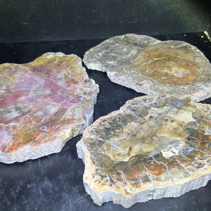 Vente chaude en vrac en bois brut grandes dalles fossiles en bois pétrifié en bois pétrifié poli pour ornement - Product Image 5