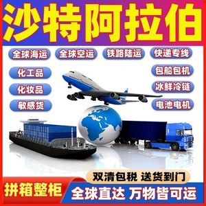 Chip Not Panic Group, Transporte Aéreo Exprés, Líneas Directas Globales, Transporte de Mercancías Peligrosas, Envío de Contenedores Completos - Product Image 3