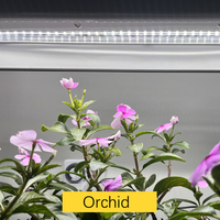 Jardinière de jardin d'herbes de grande hauteur simple et double kit d'intérieur système de culture étagère pour plantes lampe de culture à led avec support