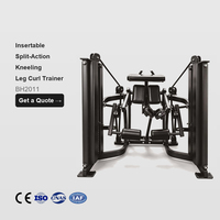 ZOFAN Appareil de musculation pour les muscles du bas du dos et les adducteurs, à action séparée, pour salle de sport commerciale, faible MOQ, OEM, ODM