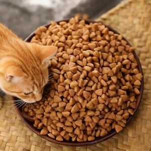 מזון יבש לחתולים HANOU פורמולה בשר טרי 10 ק\\\"ג ללא דגנים עשיר בחלבון 100% טבעי לחיזוק מערכת החיסון לחתולים בכל הגילאים - Product Image 1