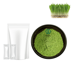 Poudre de jus d'herbe d'<span class=keywords><strong>orge</strong></span> jeune superaliment naturel en vrac – Aliment santé pour boissons saines et vertes - Product Image 2