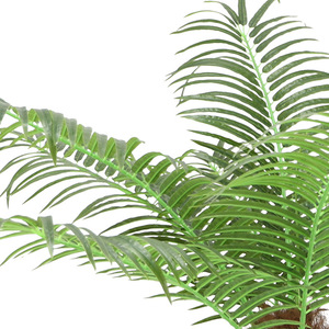 Arbre de coco artificiel Dream Castle 200 cm+ en plastique PU, décoration intérieure et extérieure, plante tropicale, style champêtre - Product Image 3