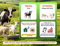 Complément alimentaire premium pour la production laitière, améliore la lactation, pour vaches laitières, chèvres, moutons