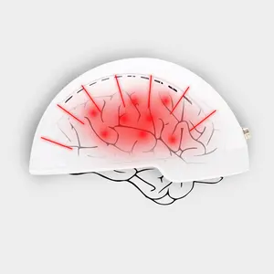 Groothandel Fotobiomodulatie Helm 810nm Transcraniële Magnetische Stimulatie Helm Voor Hersenneuron Herstel Led Helm