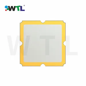 WTL 868 MHz 3.8 X 3.8mm 6 Pads SMD Saw Filter