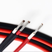 Kabel Surya Berinsulasi XLPO Tembaga Berlapis Timah Ganda Tegangan Rendah untuk Konstruksi Sistem Tenaga Surya Pengkabelan Industri Fleksibel