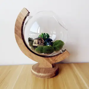 Vase de jardinière en bois et verre en forme de tellurion Globe pour décoration de terrarium intérieur