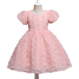 Robe de princesse pour filles, rose, broderie 3D de roses, tulle, coupe trapèze, col rond, costume d'anniversaire pour demoiselle d'honneur - Product Image 5