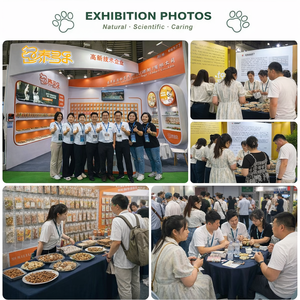 Rebanadas de Pechuga de Pollo con <span class=keywords><strong>Queso</strong></span> OEM, Golosinas para Mascotas de Alta Calidad, Ricas en Proteínas - Product Image 4