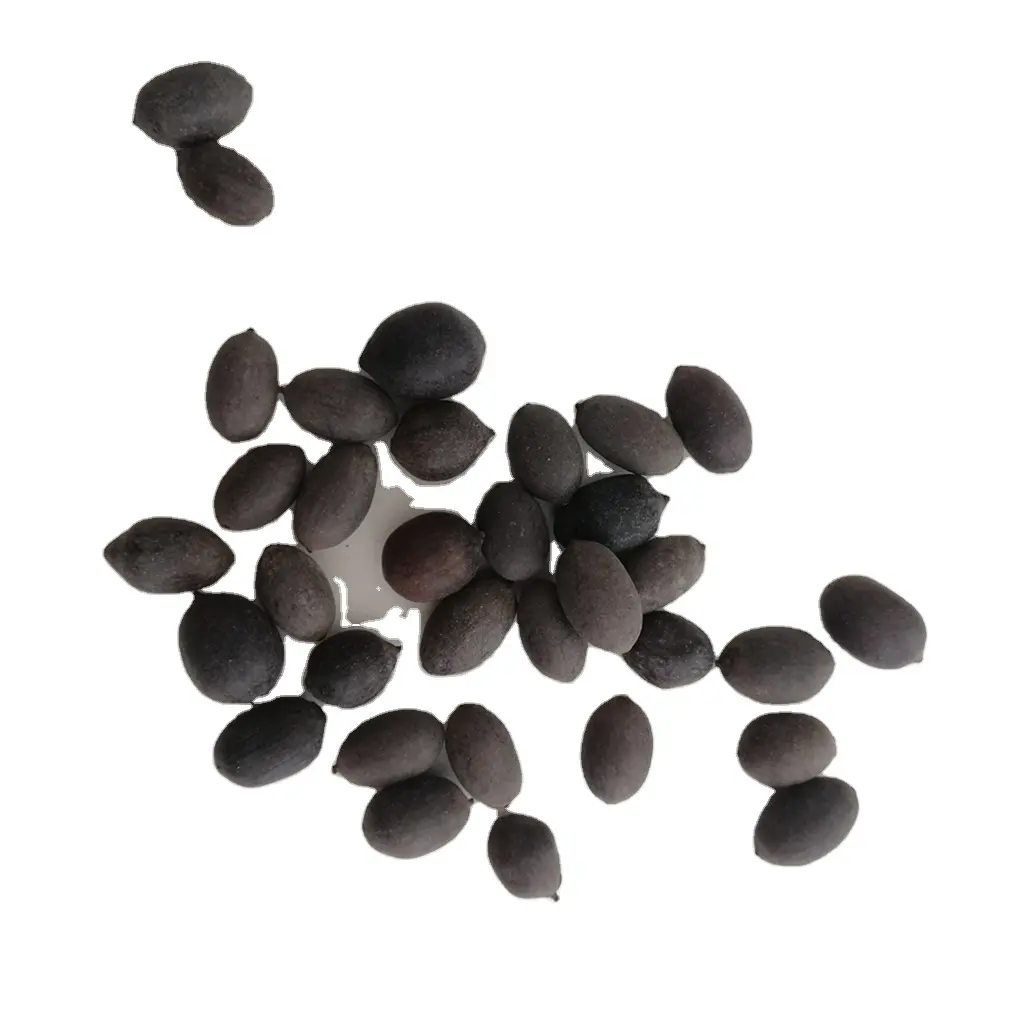 Традиционная китайская трава, сушеные целые черные семена Nelumbo nucifera, семена священного лотоса для продажи