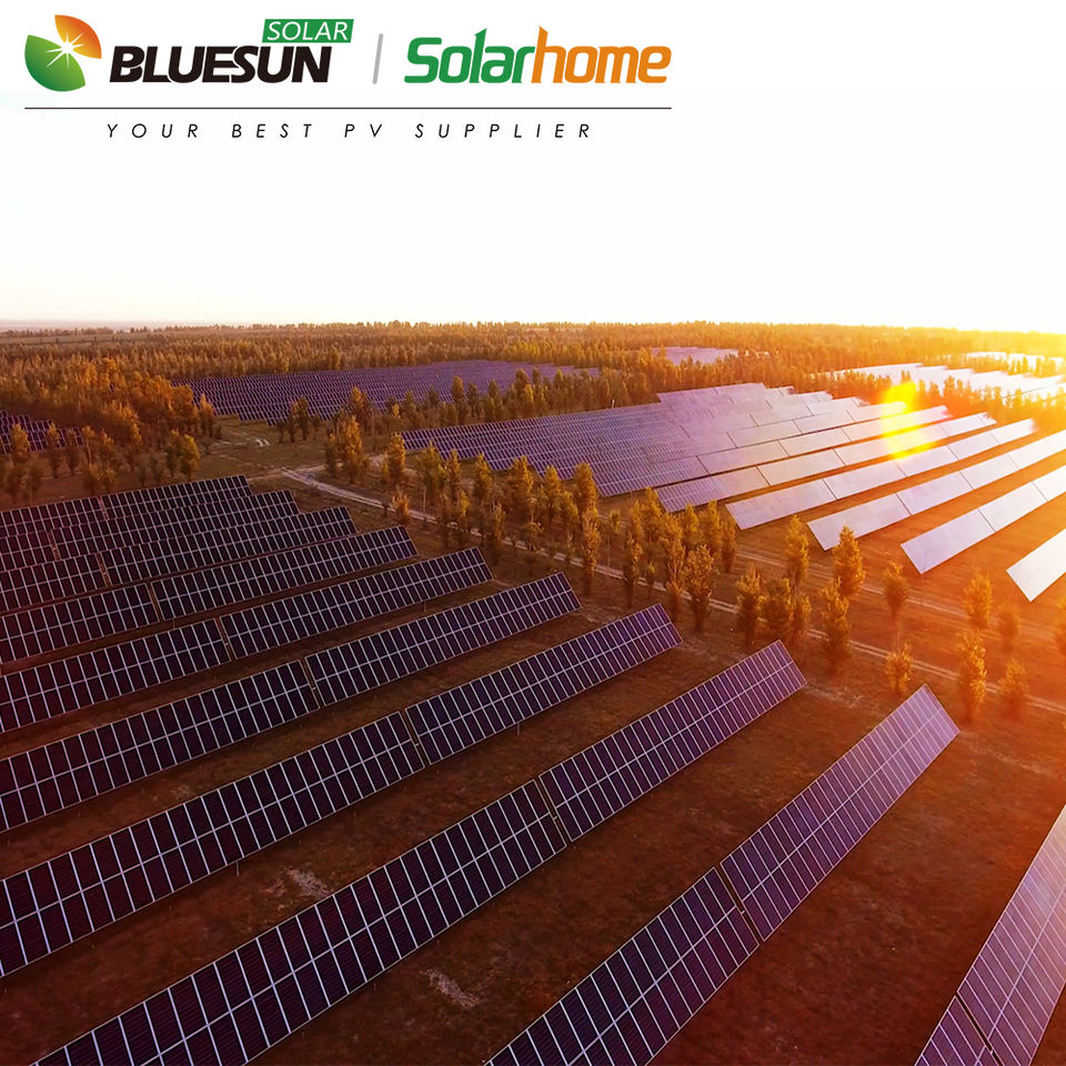 Bluesun 720Watt Shingled Bifacial Solar Module for Agriculture and ...