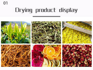 Máquina de secado con bomba de calor, secado automático de correa de malla para Mango, piña, limón, <span class=keywords><strong>Konjac</strong></span> - Product Image 3