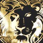 <span class=keywords><strong>Film</strong></span> d'aluminium d'estampillage d'or de transfert de chaleur d'impression d'écran DTF pour le textile - Product Image 2