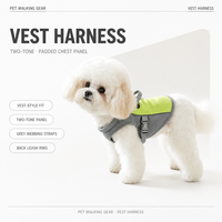 Harnais pour chien en maille souple avec laisse, ensemble anti-traction réglable pour chiens de petite et moyenne taille, chiots