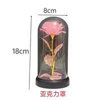 Rose éternelle avec lumières LED, acrylique et plastique, nouveau dôme en verre galaxie pour mariage, Noël, salon, emballé dans une boîte cadeau