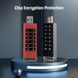 Unidad <span class=keywords><strong>Flash</strong></span> Usb cifrada de grado militar 3,1 128GB 256GB <span class=keywords><strong>Flash</strong></span> Drive Stick AES256 Bit Password <span class=keywords><strong>Memory</strong></span> Stick para Windows Mac - Product Image 4