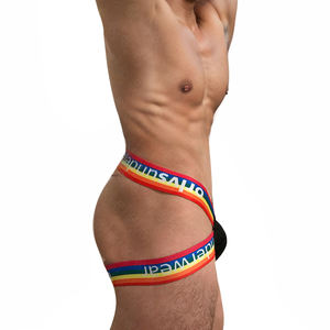 Slip string pour homme taille basse arc-en-ciel - Coton respirant avec poche en U, design dos ouvert, slip T-back, fabricant OEM ODM, <span class=keywords><strong>commande</strong></span> en gros - Product Image 3