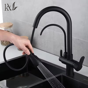 <span class=keywords><strong>Rubinetto</strong></span> da Cucina di Lusso 3-in-1 in <span class=keywords><strong>Ottone</strong></span> con Miscelatore Acqua Calda e Fredda, Doppia Maniglia, Doccetta Estraibile e Filtro Acqua Integrato - Product Image 1