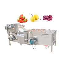 China fabrieks prijs fruit- en groentewasmachine, 304 roestvrij staal, bubbelwasmachine