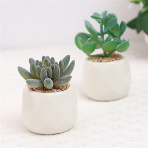 Juego de 4 Plantas Suculentas Artificiales Duraderas en Maceta de Cerámica Blanca para Decoración de Escritorio, Uso Interior/Exterior, Greatflower, MOQ Bajo - Product Image 4